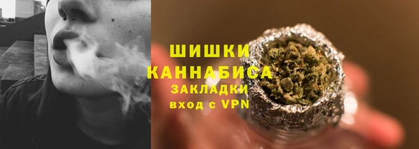 амф Сосновка