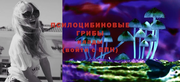 а пвп мука Медногорск